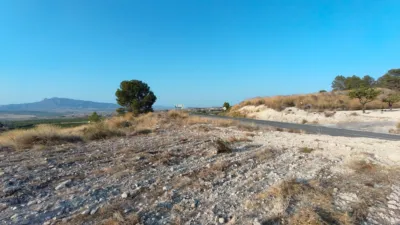 Rustic finca in Jumilla photo 3