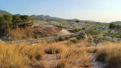 Rustic finca in Jumilla photo 5