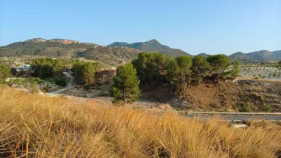 Rustic finca in Jumilla photo 6