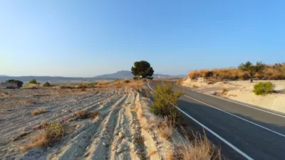 Rustic finca in Jumilla photo 7