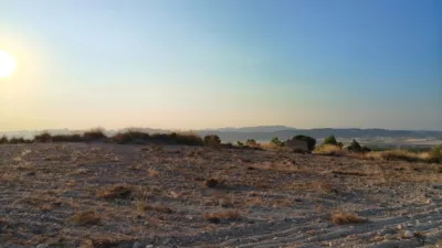 Rustic finca in Jumilla photo 9