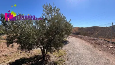 Chalet en Almanzora photo 22
