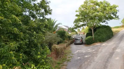 Chalet in San Martiño de Mondoñedo (Trasmonte) photo 26