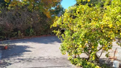 Chalet in Zollo photo 47