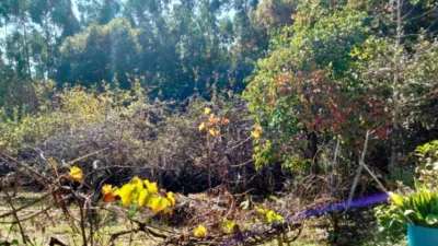 Chalet in Zollo photo 49