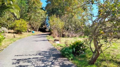 Chalet in Zollo photo 50