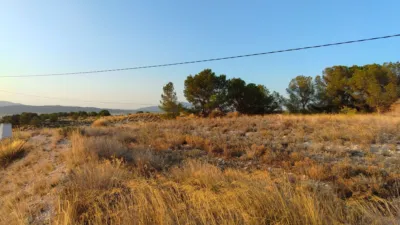 Rustic Finca in Abanilla photo 3
