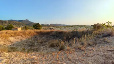 Rustic Finca in Abanilla photo 5