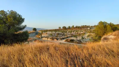 Rustic Finca in Abanilla photo 8
