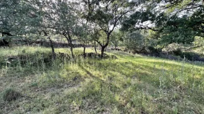 Rustic farm in Gargüera photo 11
