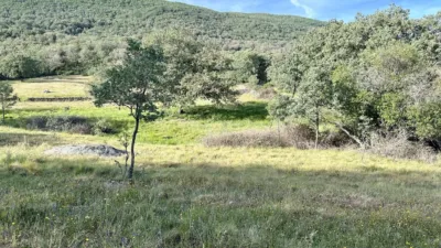 Rustic farm in Gargüera photo 8