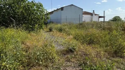 Rustic finca in Punta Umbría photo 12