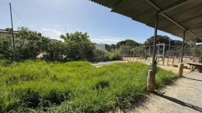 Rustic finca in Punta Umbría photo 16