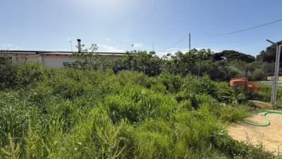 Rustic finca in Punta Umbría photo 17