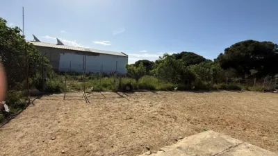 Rustic finca in Punta Umbría photo 19