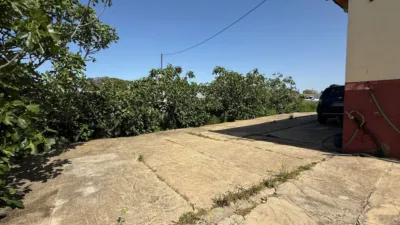 Rustic finca in Punta Umbría photo 20