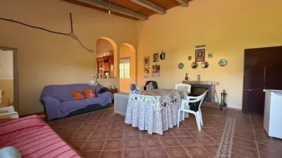 Rustic finca in Punta Umbría photo 3
