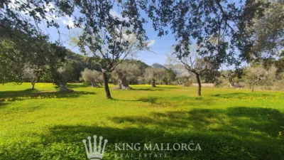 Chalet en venta en Bunyola, Bunyola de 1.350.000 €