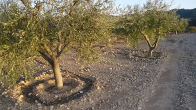 Rustic Finca in Abanilla photo 2