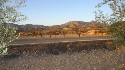 Rustic Finca in Abanilla photo 4