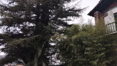 Chalet en Amorebieta photo 18