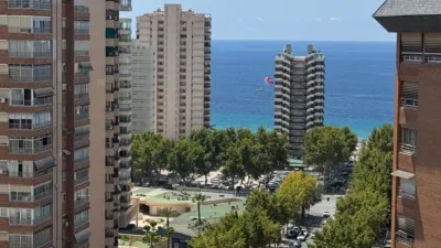 Pis – Benidorm - Vista 2