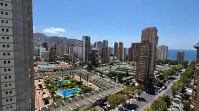 Pis – Benidorm - Vista 3
