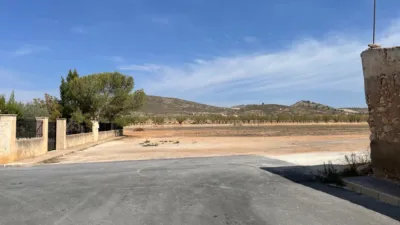 Chalet in Jumilla photo 3