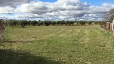 Chalet en venta en Argamasilla de Calatrava, Argamasilla de Calatrava de 139.000 €