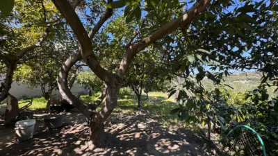 Chalet in Estepona photo 36