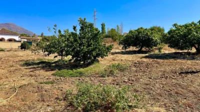 Rustic finca at Calle Poligono, No. 14 photo 12