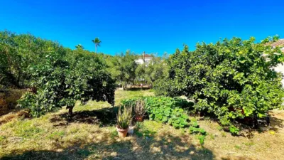 Rustic finca at Calle Poligono, No. 14 photo 16