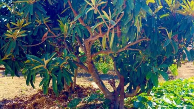 Rustic finca at Calle Poligono, No. 14 photo 17
