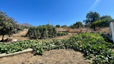 Rustic finca at Calle Poligono, No. 14 photo 25
