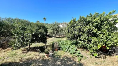 Rustic finca at Calle Poligono, No. 14 photo 26