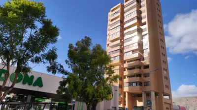 Apartment in Platja de Ponent photo 24