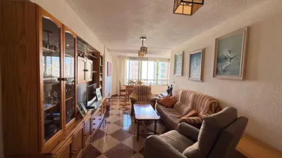 Apartment in Racó de l'Oix photo 3