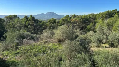 Chalet en venta en Manacor, Manacor de 682.100 €