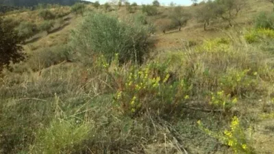 Rustic Finca in Pasada de Granadillo photo 14
