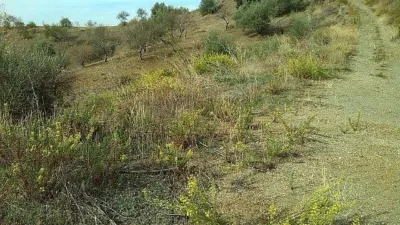 Rustic Finca in Pasada de Granadillo photo 15