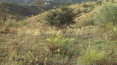 Rustic Finca in Pasada de Granadillo photo 16