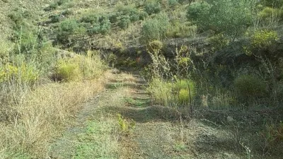 Rustic Finca in Pasada de Granadillo photo 23