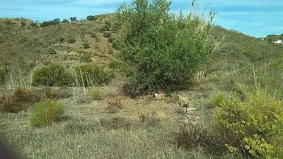 Rustic Finca in Pasada de Granadillo photo 24