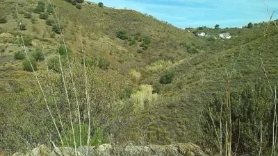 Rustic Finca in Pasada de Granadillo photo 30