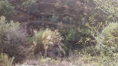 Rustic Finca in Pasada de Granadillo photo 37