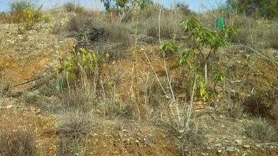 Rustic Finca in Pasada de Granadillo photo 45