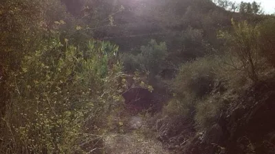 Rustic Finca in Pasada de Granadillo photo 57