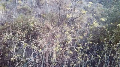 Rustic Finca in Pasada de Granadillo photo 58