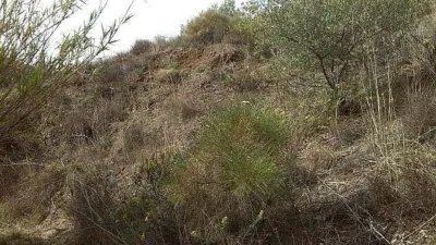 Rustic Finca in Pasada de Granadillo photo 60