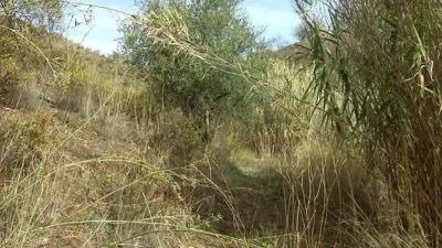 Rustic Finca in Pasada de Granadillo photo 61